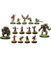 Goblins Orphans Football Team