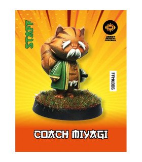 Coach Miyagi