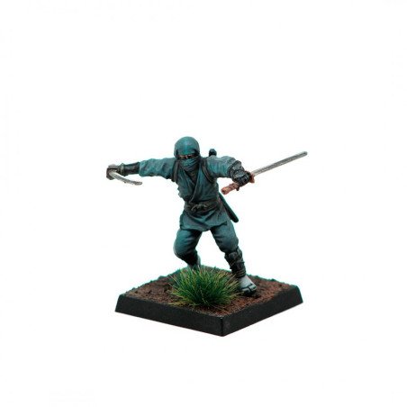 Ninja