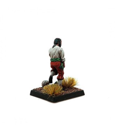Falconet