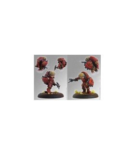 Scarabs
