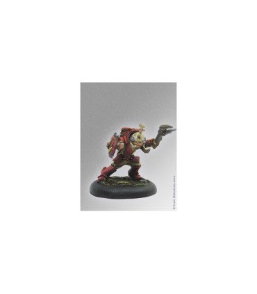 Scarab leader