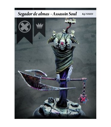 Assassin Soul